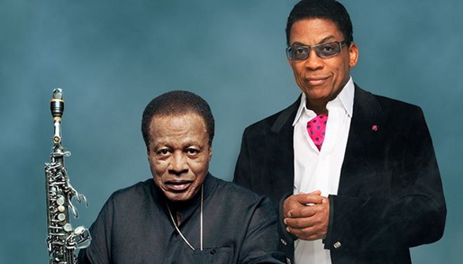 Wayne Shorter & Herbie Hancock
